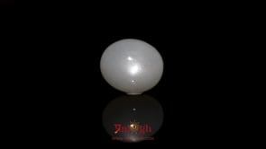 Moonstone - 9.5 Carat