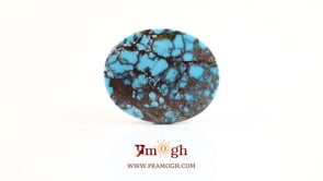 Irani Firoza - 19.15 Carat