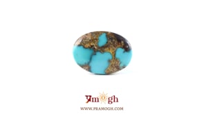 Irani Firoza - 10.65 Carat