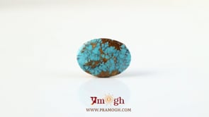 Irani Firoza - 11.1 Carat