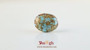 Irani Firoza - 13.95 Carat