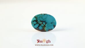 Irani Firoza - 15.05 Carat