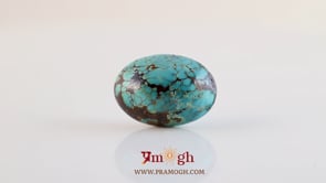 Irani Firoza - 27.25 Carat