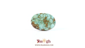 Irani Firoza - 11.15 Carat