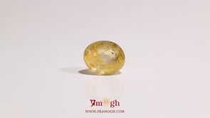 Yellow Sapphire - 3.1 Carat