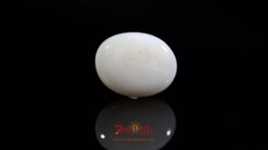 Opal - 8.25 Carat