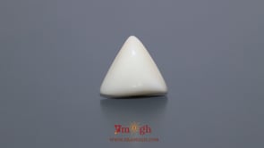 White Coral - 6.85 Carat