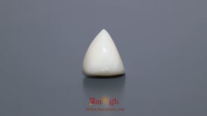 White Coral - 8.1 Carat