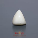 White Coral - 8.1 Carat