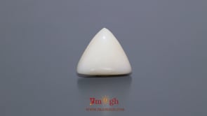 White Coral - 10.25 Carat