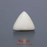White Coral - 10.25 Carat