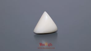 White Coral - 9.4 Carat