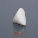 White Coral - 7 Carat