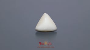 White Coral - 7.7 Carat