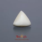 White Coral - 7.7 Carat