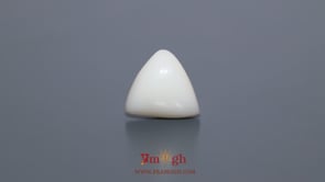 White Coral - 5.6 Carat
