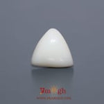White Coral - 5.6 Carat