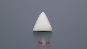 White Coral - 6.1 Carat