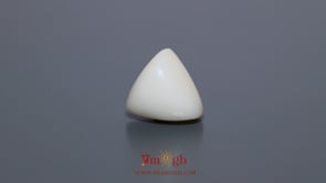 White Coral - 9.15 Carat