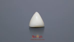 White Coral - 6.55 Carat
