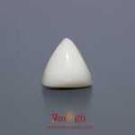 White Coral - 6.55 Carat