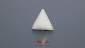 White Coral - 6.9 Carat
