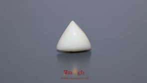 White Coral - 7.95 Carat