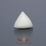White Coral - 7.95 Carat