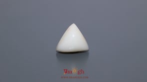 White Coral - 6.8 Carat