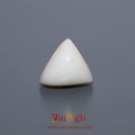 White Coral - 6.8 Carat