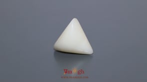 White Coral - 9 Carat