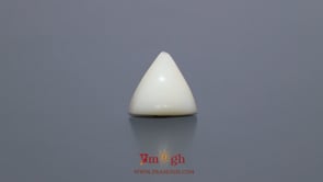 White Coral - 5.6 Carat