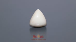 White Coral - 9.6 Carat