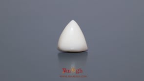 White Coral - 5.4 Carat