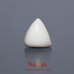 White Coral - 5.4 Carat