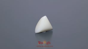 White Coral - 4.83 Carat