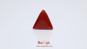Red Coral - 6 Carat