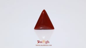 Red Coral - 6 Carat