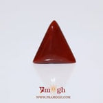 Red Coral - 6 Carat