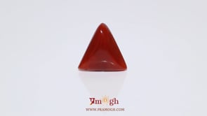 Red Coral - 6.2 Carat