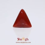 Red Coral - 6.2 Carat