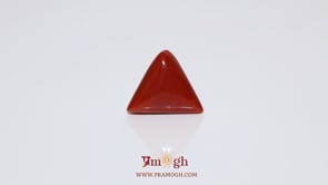 Red Coral - 5.15 Carat