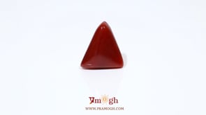 Red Coral - 5.15 Carat