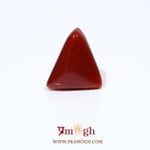 Red Coral - 5.15 Carat