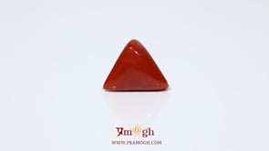 Red Coral - 5.55 Carat