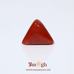 Red Coral - 5.55 Carat