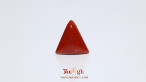 Red Coral - 5.45 Carat