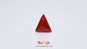 Red Coral - 5.25 Carat