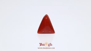 Red Coral - 5.8 Carat