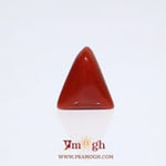 Red Coral - 5.8 Carat